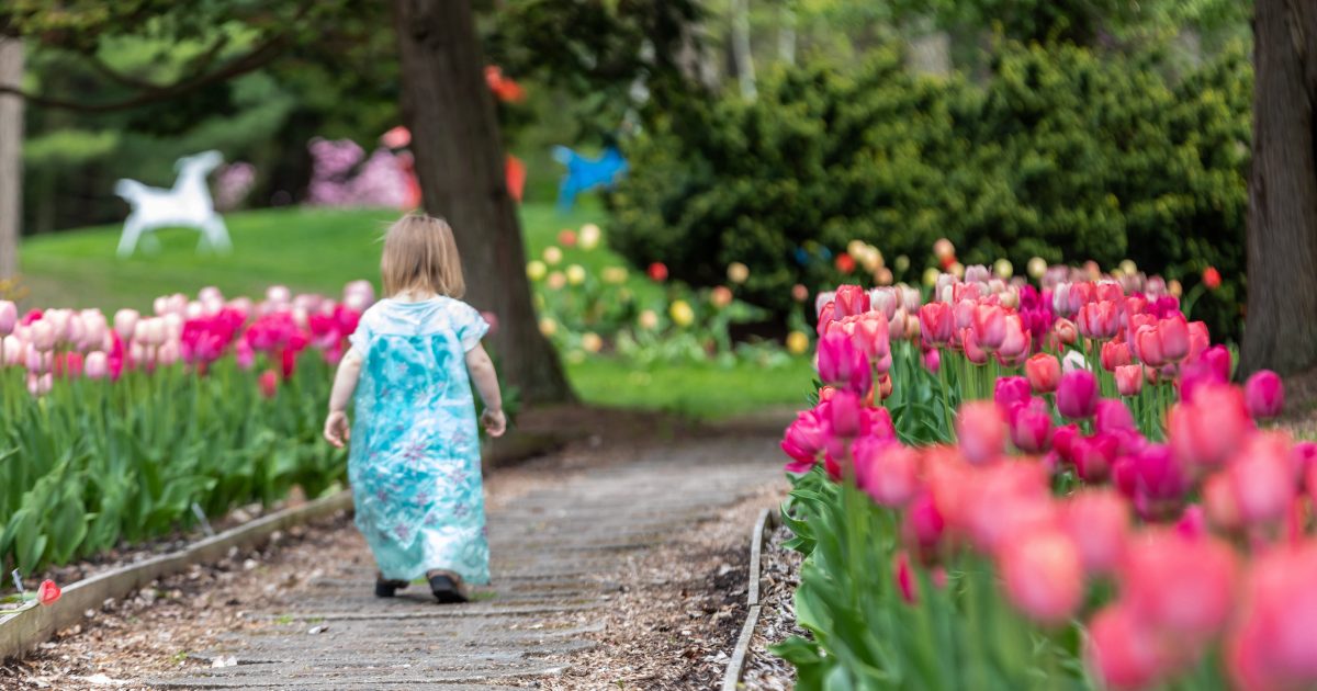 How to Spend a Weekend in Midland with Kids - Go Great Lakes Bay