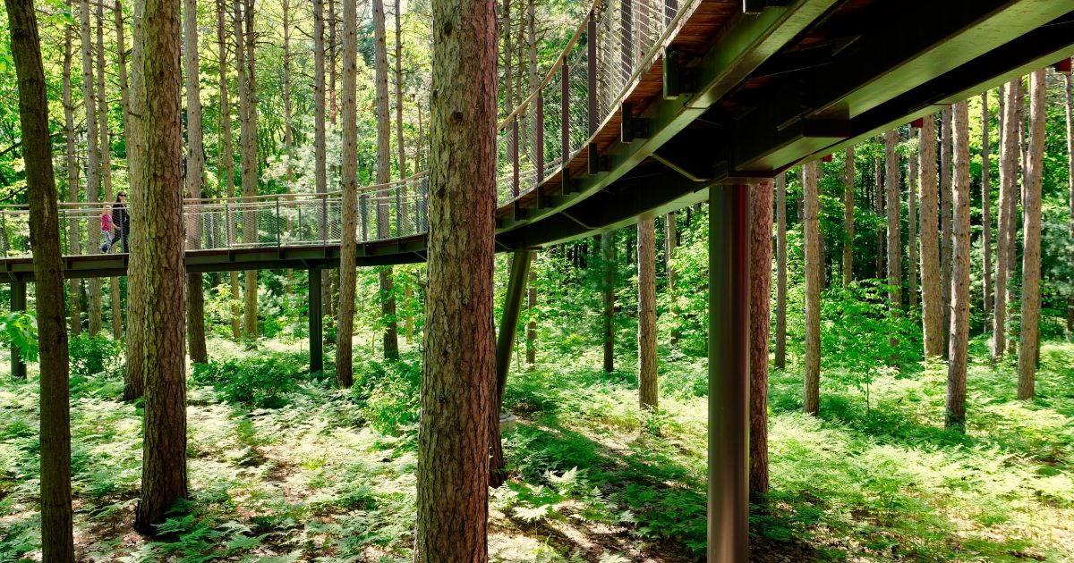 Things To Do In Midland, Michigan | Gardens & Architecture