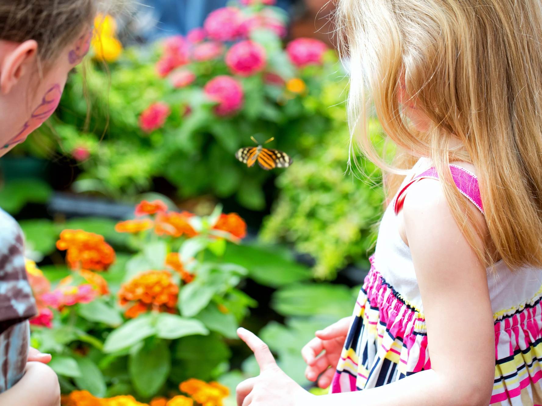 Weekly Events in Michigan Events & Things to Do Great Lakes Bay