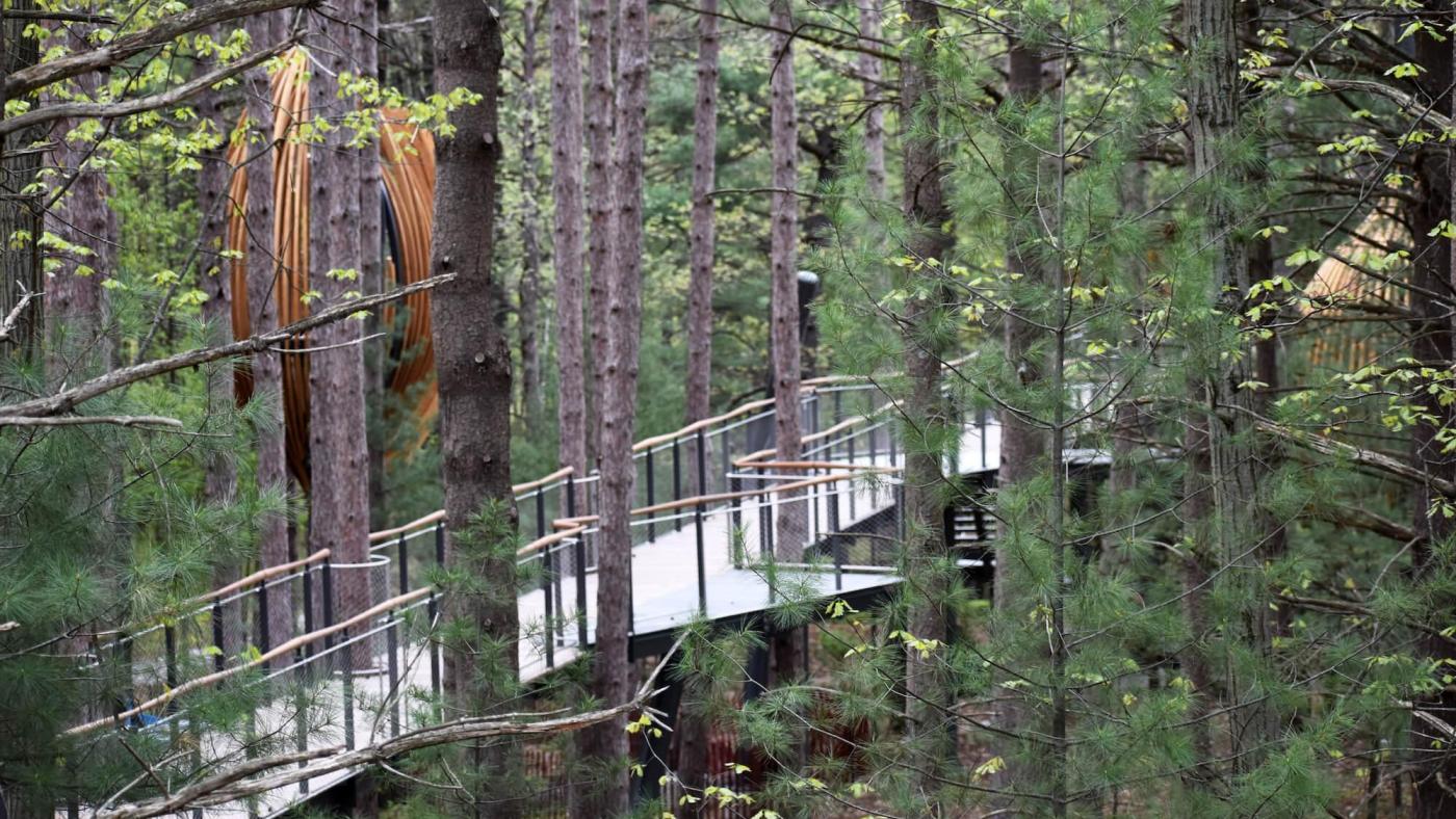 Explore the Nation's Longest Canopy Walk in Midland, Michigan Great