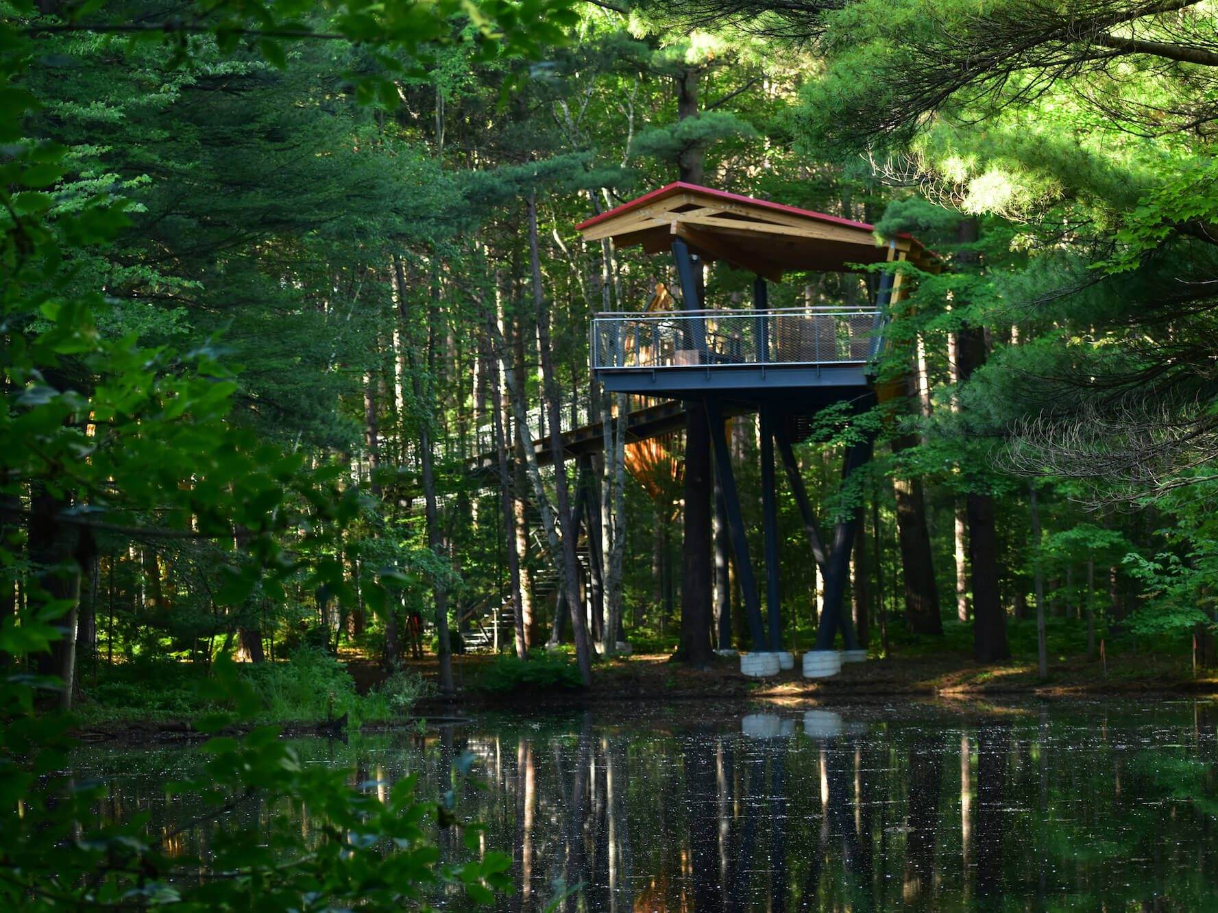 Explore the Nation's Longest Canopy Walk in Midland, Michigan Great