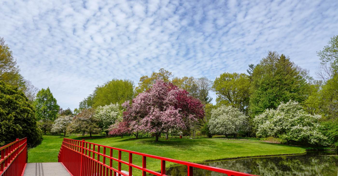Whiting Forest of Dow Gardens in Great Lakes Bay, Michigan Blog