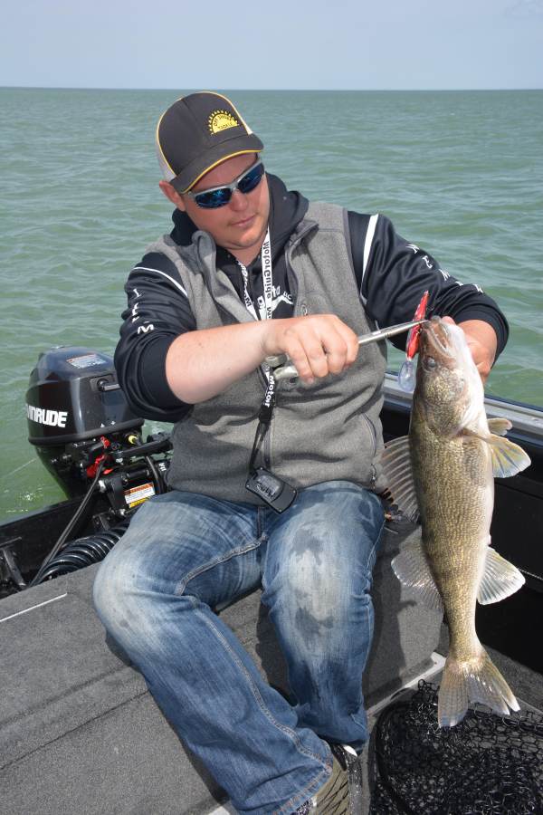 Saginaw bay walleye