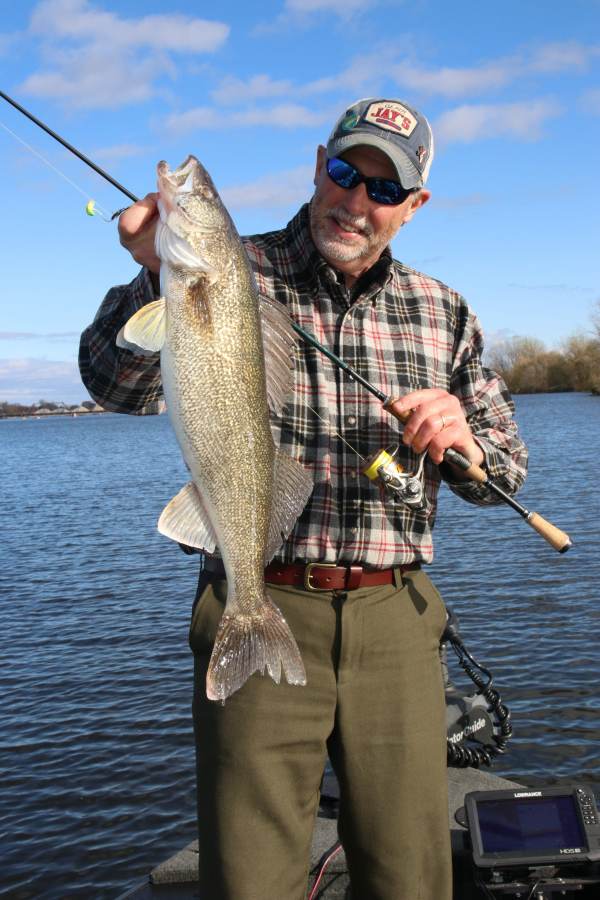 Saginaw bay walleye