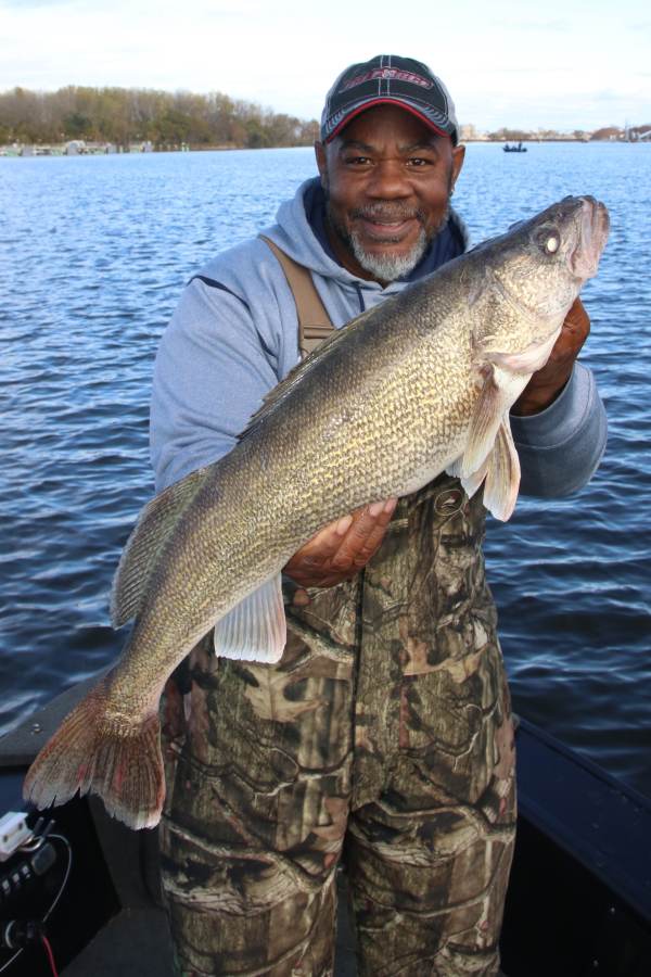 Saginaw bay walleye