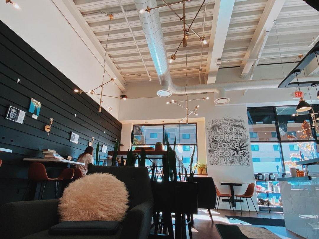 Gorgeous, modern interior at Live Oak Coffeehouse in Uptown Bay City