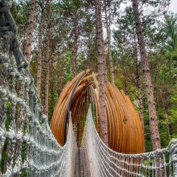 Cargo net bridge walk to the west pod along the Canopy Walk at Whiting Forest of Dow Gardens in Midland