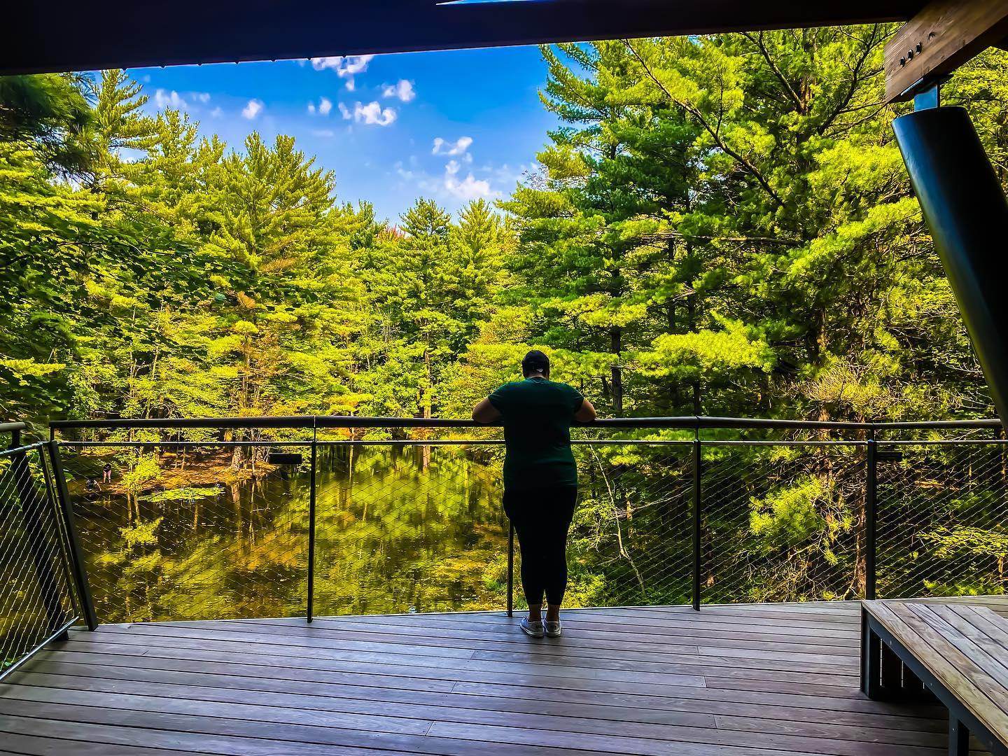 Silhouette of a person against the backdrop of colorful trees from the Pond Arm along the Canopy Walk at Whiting Forest of Dow Gardens in Midland