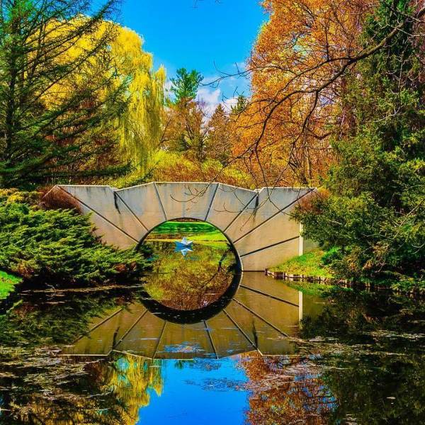 The sun bridge at Dow Gardens in Midland reflecting onto the water, framed by colorful trees