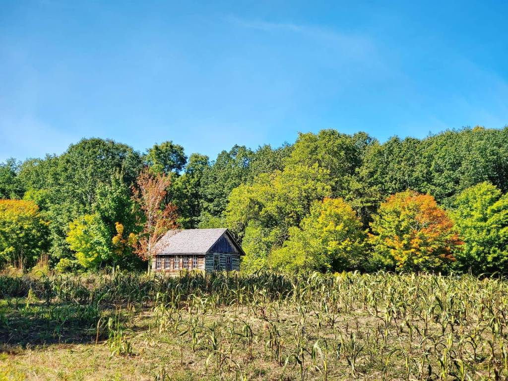 Leaves changing at Chippewa Nature Center old schoolhouse