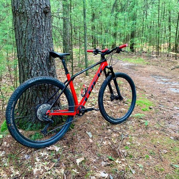 Red bike propped up on a tree along a bike trail at Midland City Forest