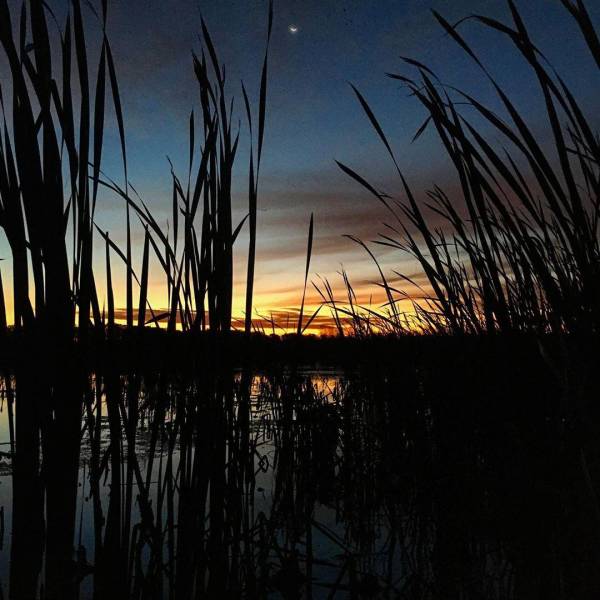 Colorful sunrise peeking through the tall grass on the waters of Shiawassee National Wildlife Refuge in Saginaw