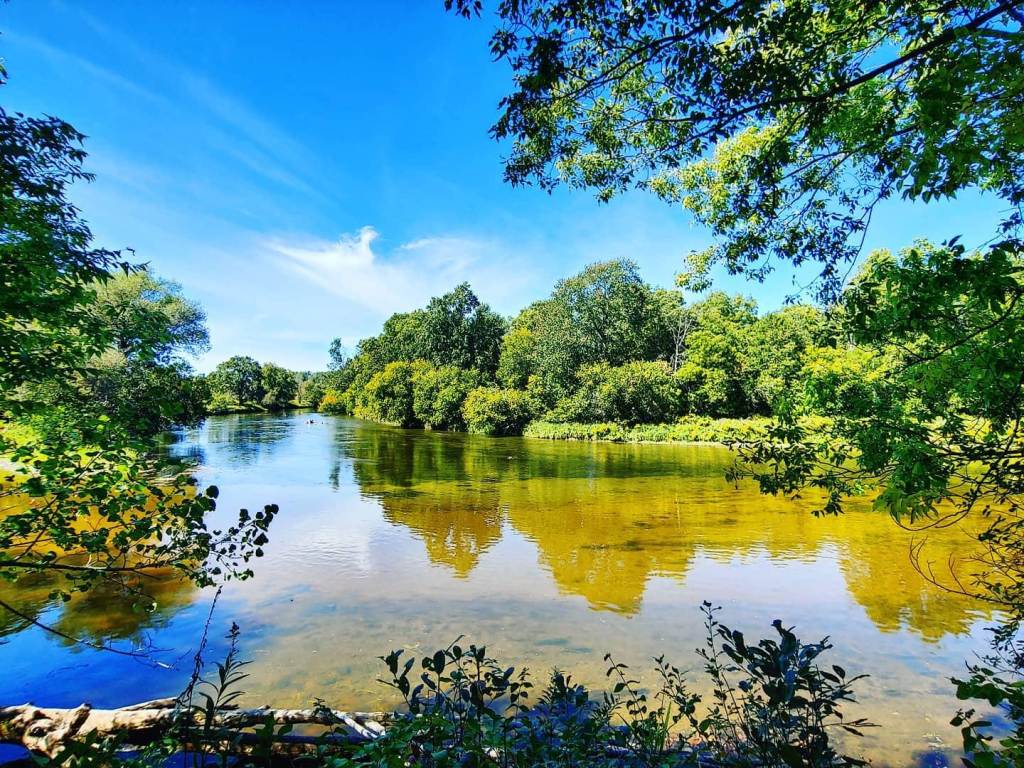 Sun beaming on trees and water at Chippewa Nature Center in Midland