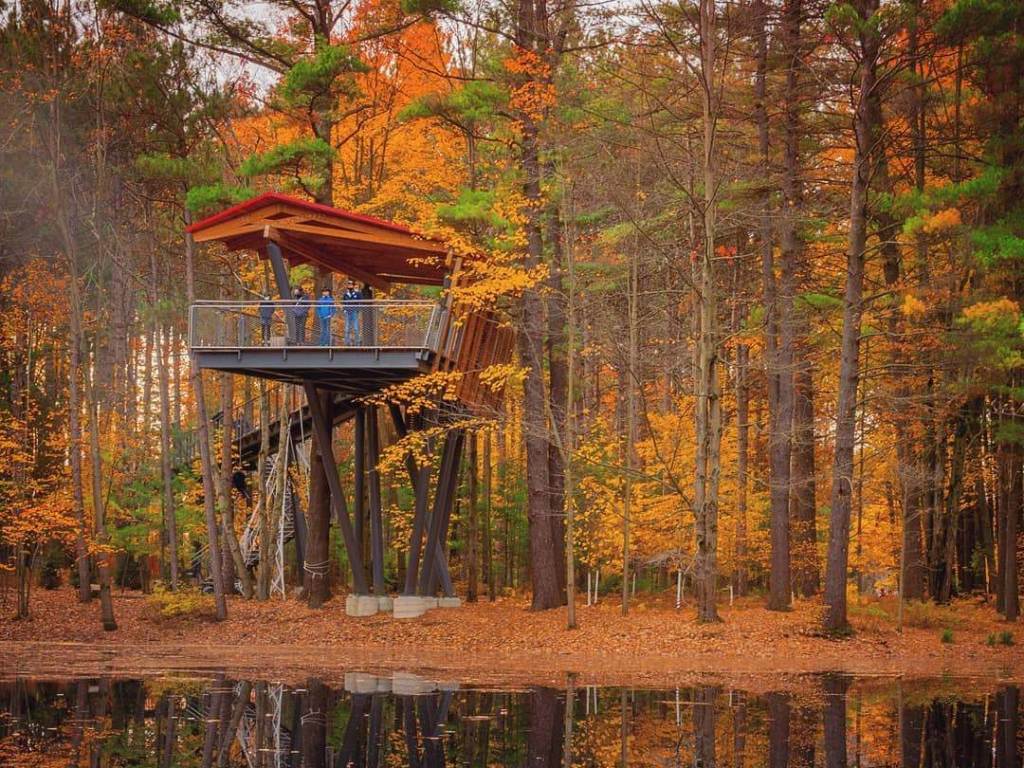 Whiting Forest of Dow Gardens in Great Lakes Bay, Michigan Blog