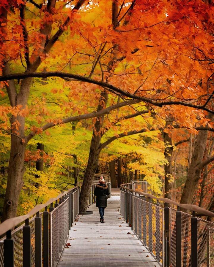 Best Places to Visit in the Fall in Michigan: Hidden Gems Revealed