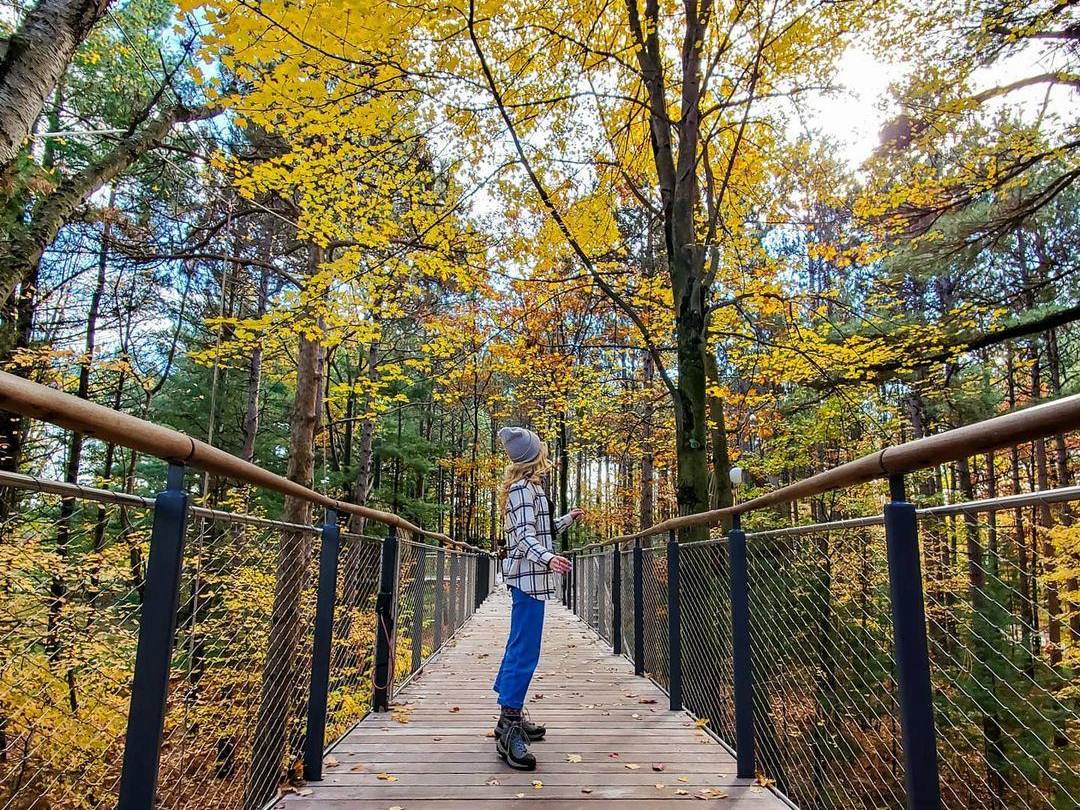 Girl looking out at the fall trees from the Canopy Walk at Whiting Forest of Dow Gardens in Midland