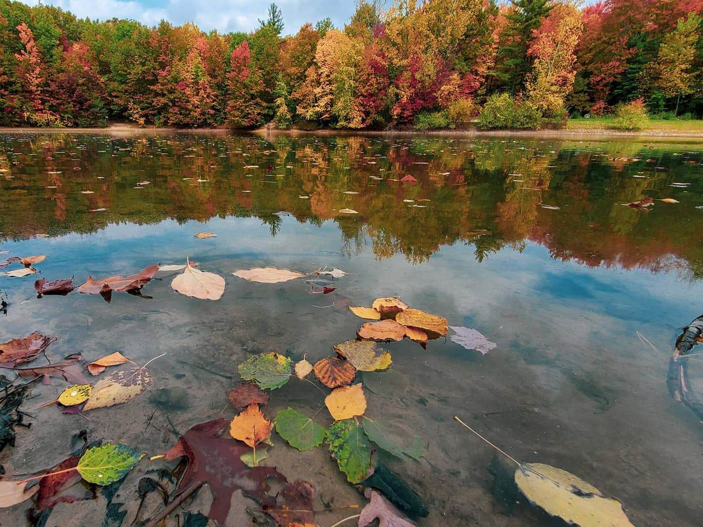 Fall trees mirroring on the water at Roethke Park in Saginaw