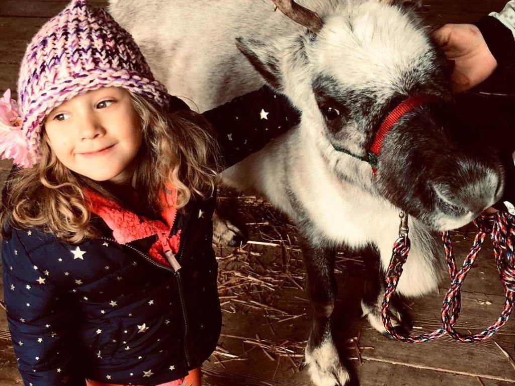 Little girl posing for a picture with a reindeer at Grandpa Tiny's Farm in Frankenmuth