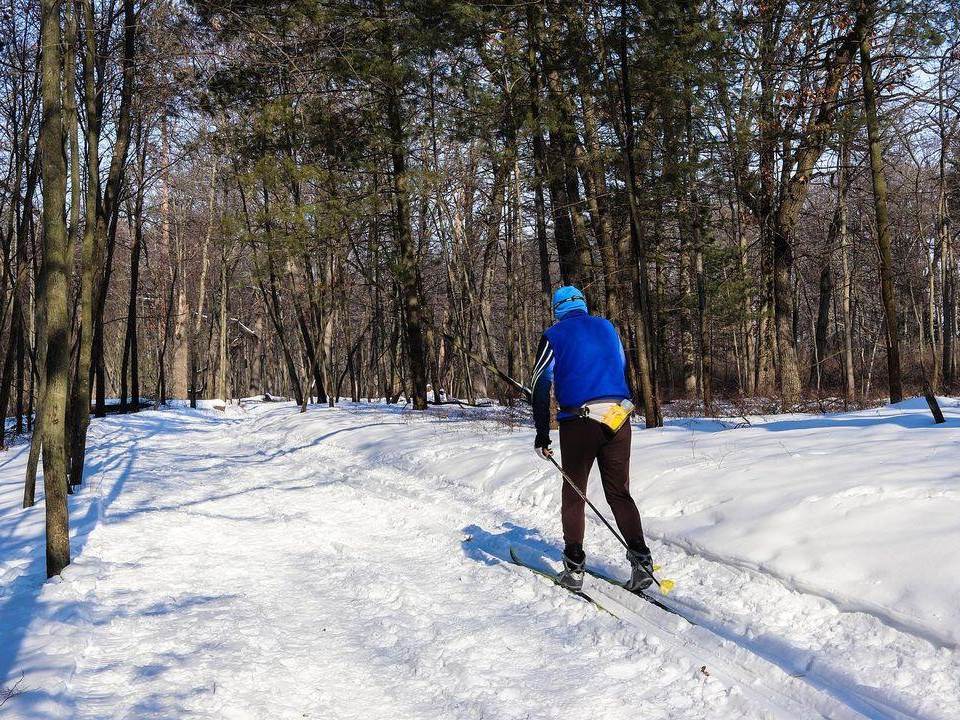 Person cross-country skiing snowy trails within Tobico Marsh at Bay City State Park in Bay City