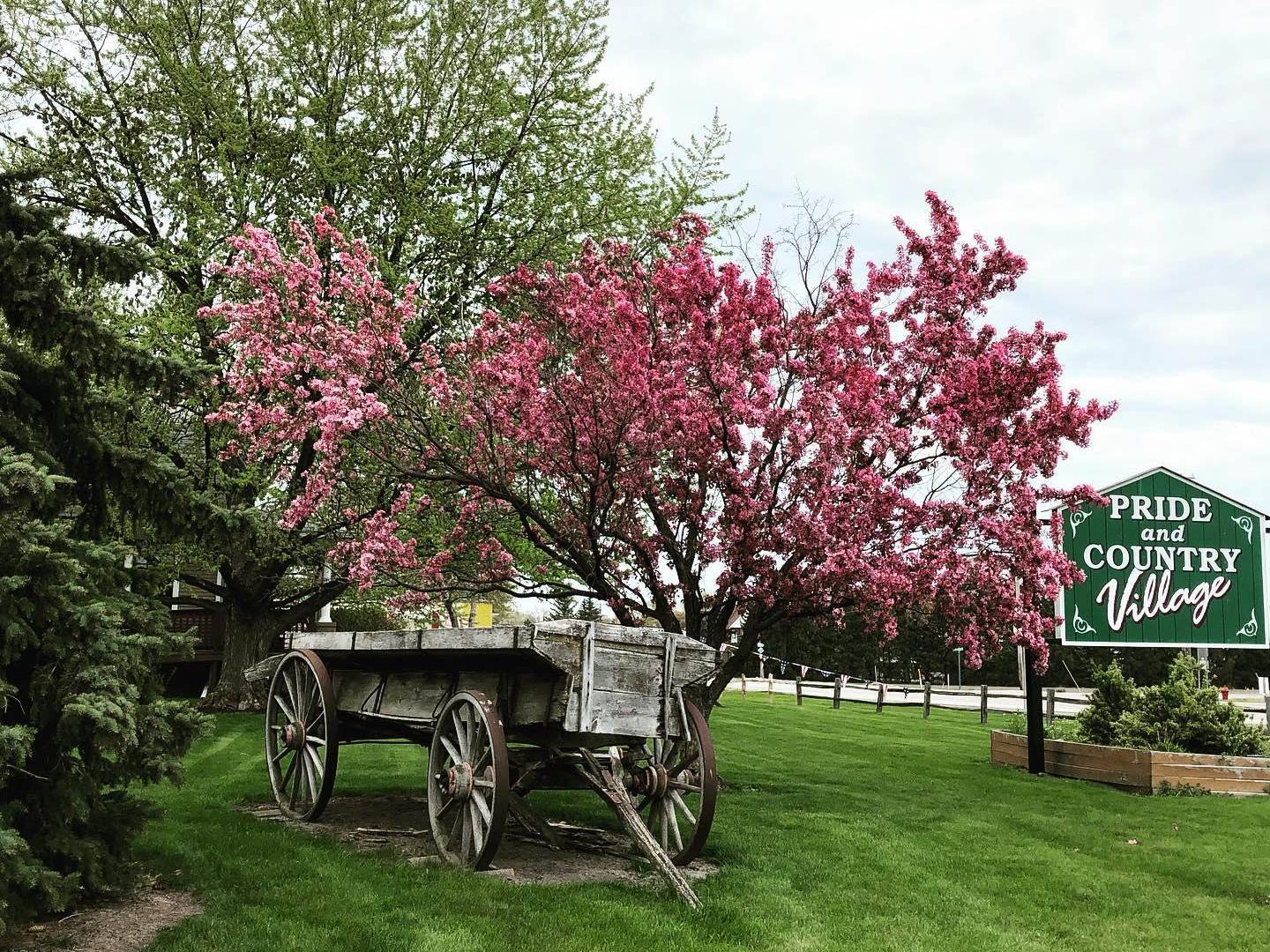 Views of the Pride & Country Village sign with an antique wagon and budding spring trees