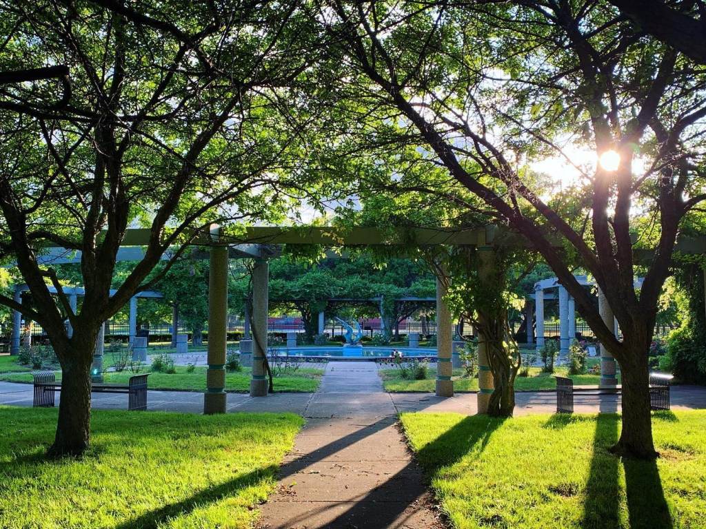 Sunlight through the trees at Andersen Enrichment Center in Saginaw