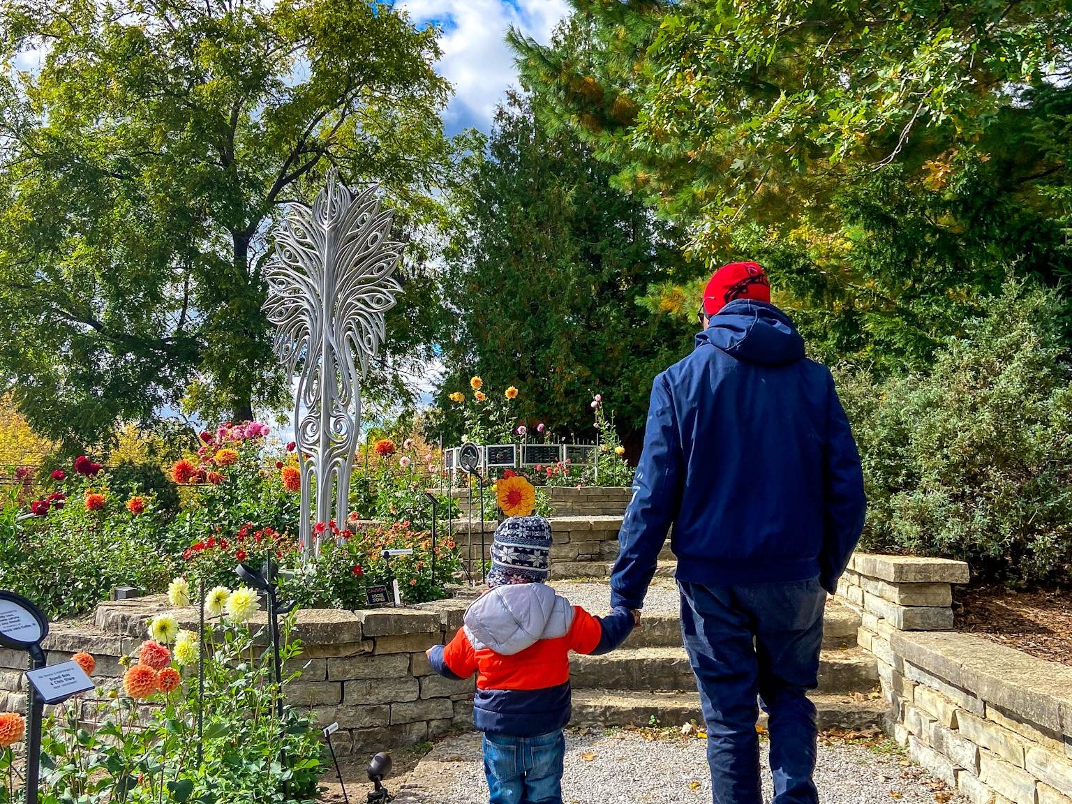 A parent and child holding hands as they stroll through the terraces of colorful Dahlias at Dahlia Hill in Midland