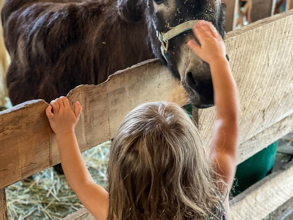 Little girl petting a pony on Grandpa Tiny's Farm in Frankenmuth