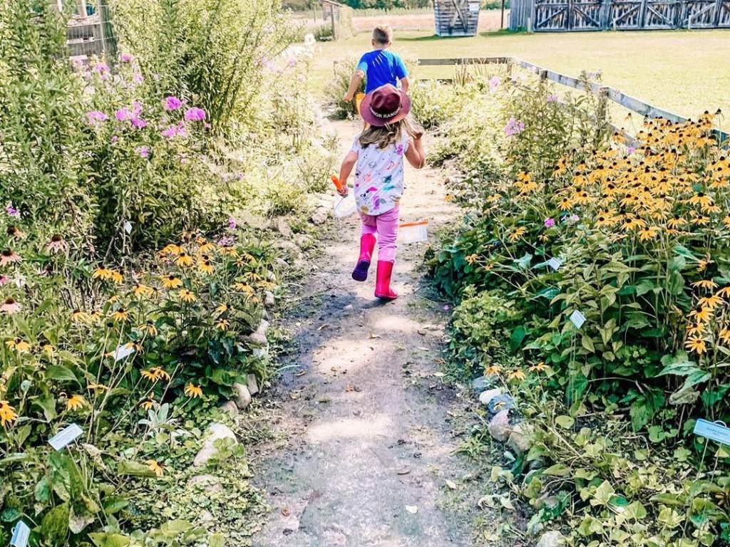 Children running down a pathway lined with flowers at Chippewa Nature Center in Midland