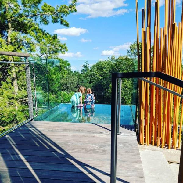 Two young kids exploring the glass-floored Orchard Arm overlook on the Whiting Forest of Dow Gardens Canopy Walk