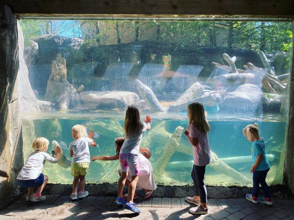 Kids watching through the glass as the otters swim at the Saginaw Children's Zoo in Saginaw