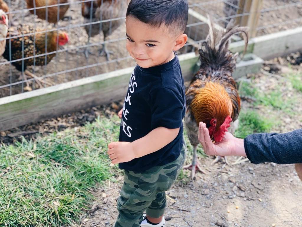 Little boy smiling while helping feed the chickens at Grandpa Tiny's Farm in Frankenmuth