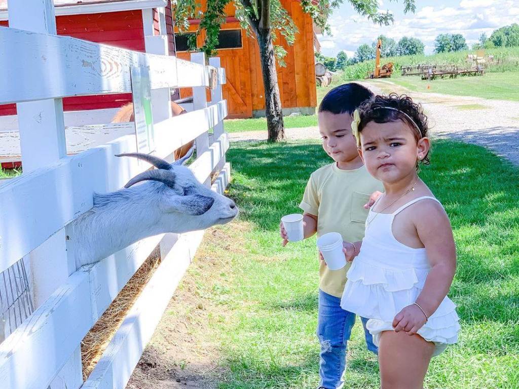 Two young kids feeding a goat at Grandpa Tiny's Farm in Frankenmuth
