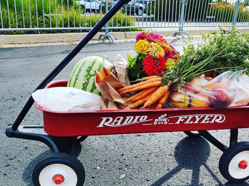 A red Radio Flyer wagon full of fresh farmers market finds at the Midland Area Farmers Market in Midland
