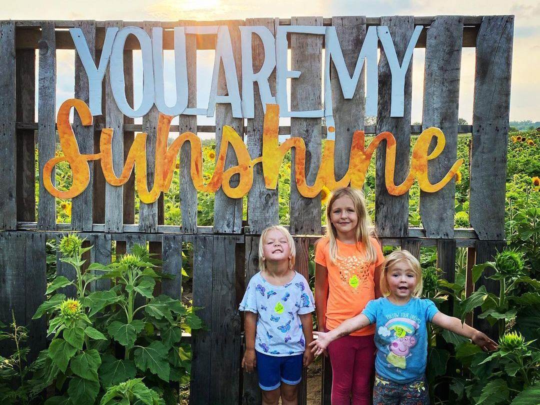 Kids posing in front of the "You Are My Sunshine" sign in the sunflower fields at Leaman's Green Applebarn in Freeland