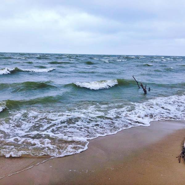 Waves crashing on the beach at Bay City State Park