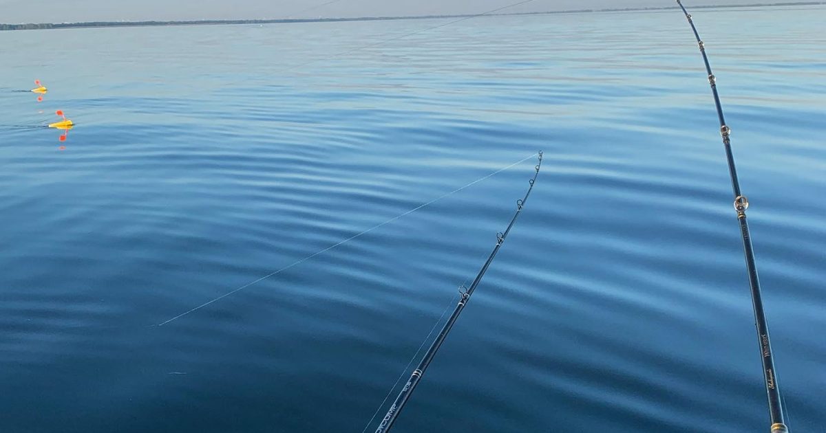 What Are the Best Walleye Fishing Charters on Lake Huron's Saginaw Bay? A Local Guide | Go Great Lakes Bay